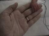 Saffy Holding Daddy's Hand