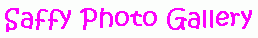 Saffy Photo Gallery